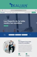 CRÉATION DU SITE VITRINE POUR KALIAN GROUPE FRANCE